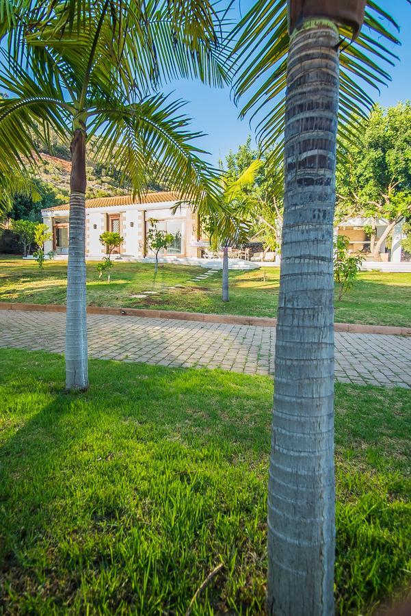 Villa Icons Sea Of Crete Malia Exterior foto